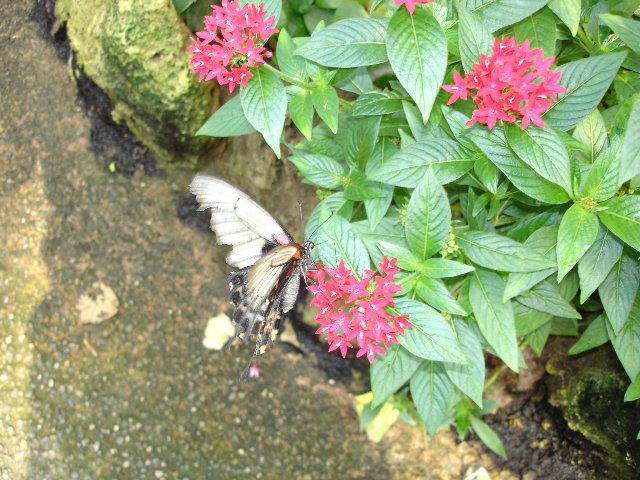 DSC00570.jpg