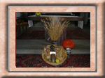 DSC00518.jpg