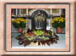DSC00519.jpg