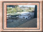 DSC00524.jpg