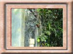 DSC00532.jpg
