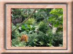 DSC00533.jpg