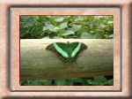 DSC00535.jpg