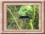 DSC00540.jpg
