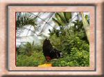 DSC00550.jpg