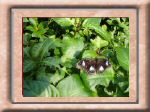 DSC00551.jpg