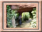 DSC00556.jpg