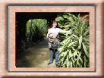 DSC00557.jpg