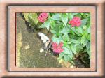 DSC00570.jpg
