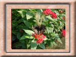 DSC00572.jpg