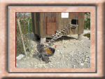 DSC00576.jpg